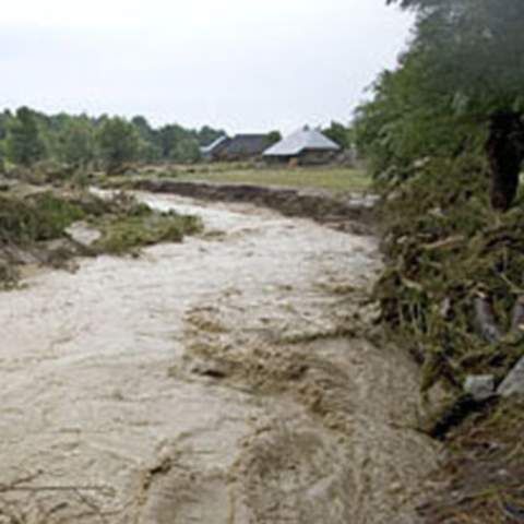 Câteva gospodării au fost inundate şi peste 200 animale s-au înecat, după o viitură produsă la Iaşi