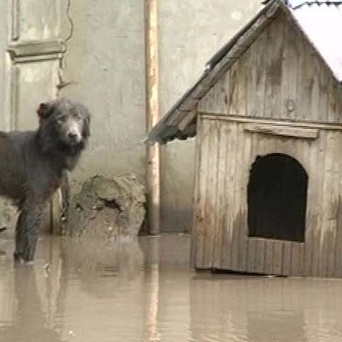 O furtună puternică a inundat mai multe drumuri din ţară