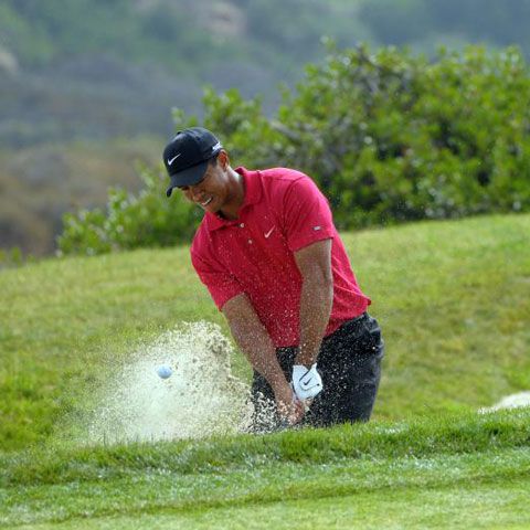 Tiger Woods îşi face teren de golf în România! Nu singur, ci alături de Al Gore!