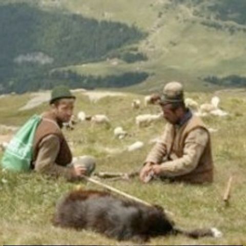 Clipul TIFF 2009 parodiază pelicula Brokeback Mountain