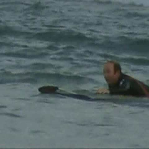 În Australia, un surfer a salvat un cangur de rechini