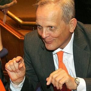 Stolojan: Elena Băsescu nu are acelaşi electorat cu PD-L şi nu va afecta rezultatul partidului