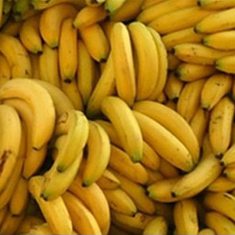Africanii vor avea combustibil din banane