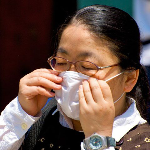 Creştere spectaculoasă a numărului de cazuri de gripă porcină în Japonia într-o singură zi