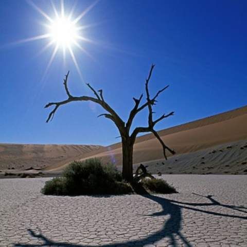 Vremea se anunţă deosebit de caldă, cu temperaturi specifice lunii lui Cuptor