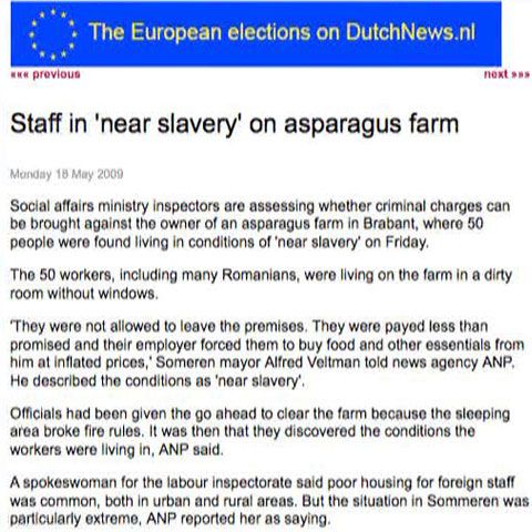 Mai mulţi români plecaţi la muncă în Olanda au trăit ca sclavii la o fermă de sparanghel 