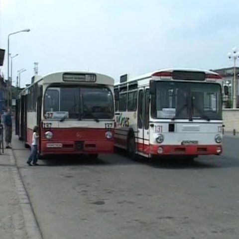Sute de elevi din judeţul Arad lipsesc de la şcoală pentru a prinde un mijloc de transport pentru casă