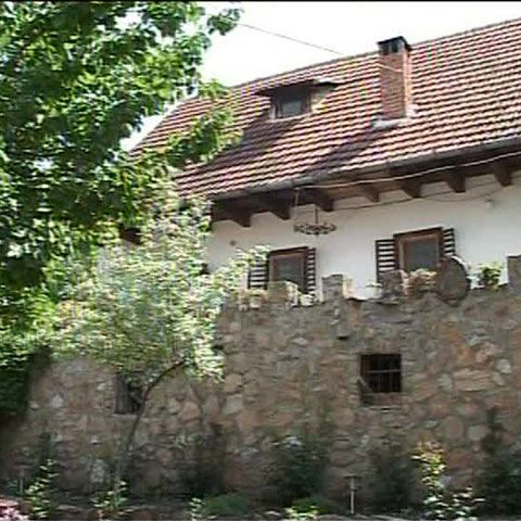 La podgoria de la Miniş se află vinuri preţioase, vechi de zeci de ani 