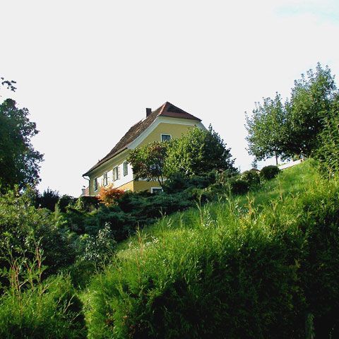 Casa în care s-a născut Arnold Schwarzenegger a fost scoasă la licitaţie