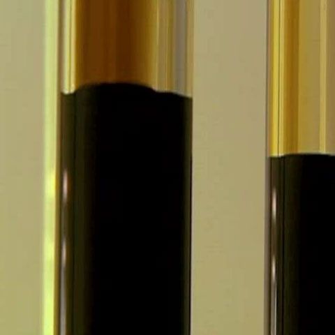 REALITATEA pe NET: Expoziţie la Londra cu sânge uman şi petrol rusesc 