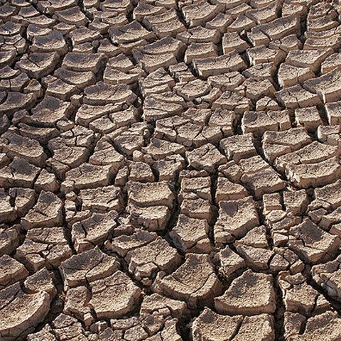 This year the drought in Romania might reach calamity degree, agriculture minister warns