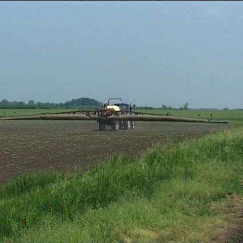 Culturile din Arad se usucă din cauza secetei, iar apa este vândută la unguri