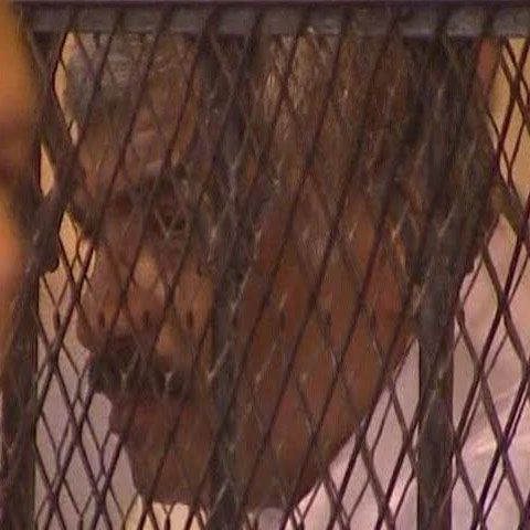 Un magnat egiptean a fost condamnat la moarte pentru că a comandat asasinarea unei foste iubite