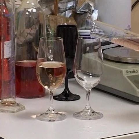 Franţa, nemulţumită de intenţia CE de generalizare a numelui vinului "rose" 