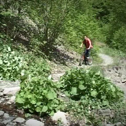 Principala atracţie din zona staţiunii Lepşa este Rezervaţia Naturală Cheile Tişiţei 