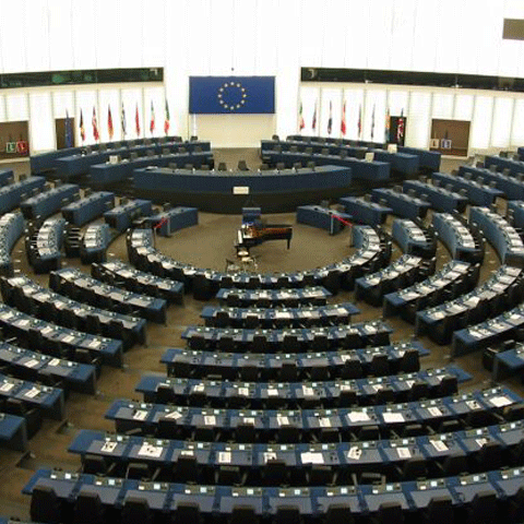 Minorităţile ar putea obţine un rezultat mai bun la alegerile europene de luna viitoare