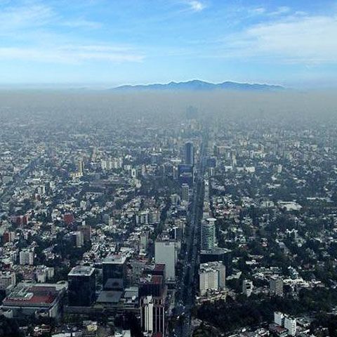 AFP: Cutremur puternic în Mexic