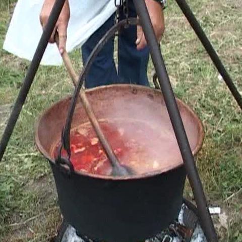 Festivalul de dansuri populare maghiare a avut loc la Mediaş 