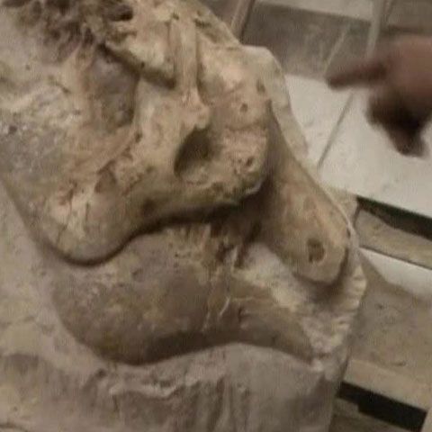 O echipă de muncitori a descoperit scheletul fosilizat al unui leneş 