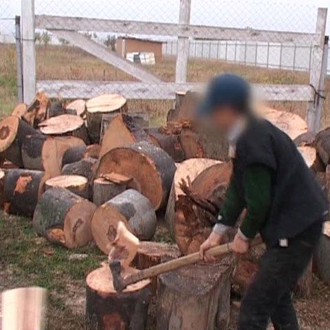 Ministerul Muncii vrea să oprească exploatarea copiilor