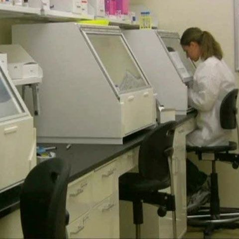 Recomandări pentru prevenirea îmbolnăvirii cu gripă porcină