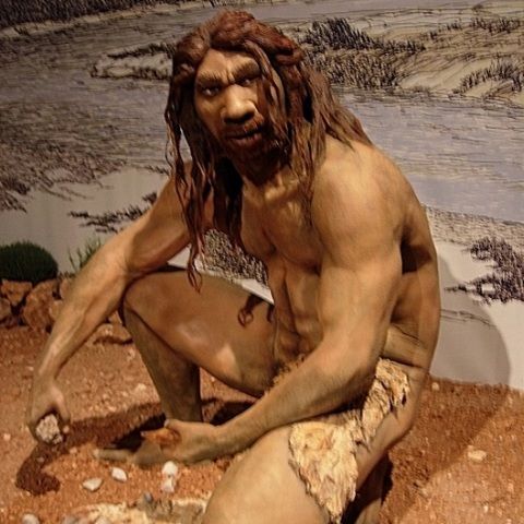 Homo Sapiens mânca Homo Neanderthalensis