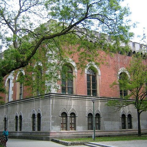 Un turn medieval şi mai multe artefacte au fost descoperite în curtea Muzeului Banatului