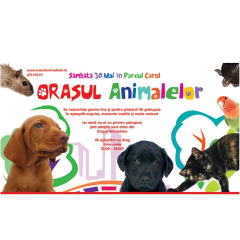 Surprize, momente inedite şi multe cadouri în Oraşul animalelor