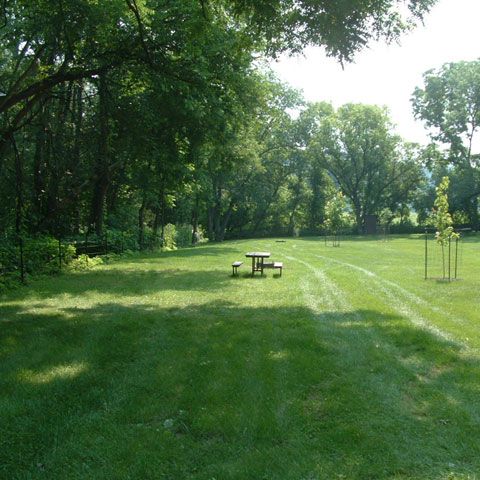 Primăria Ploieşti va extinde spaţiul verde al oraşului cu zece hectare