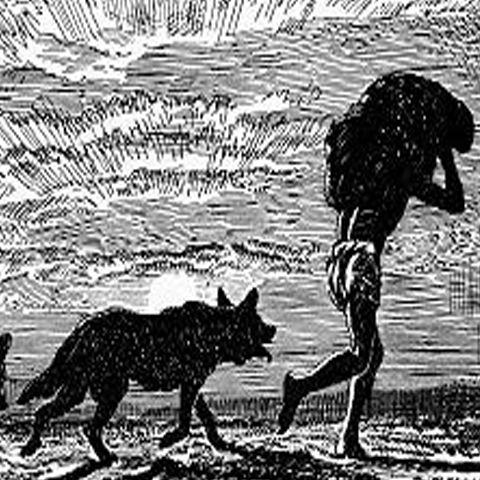 O fată din oraşul siberian Chita a fost crescută de câini şi pisici