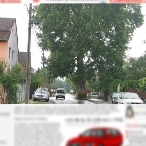 GÂNDUL: România, ţara unde se uită stâlpul electric în mijlocul străzii 