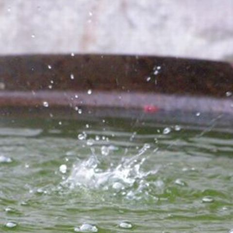 Meteorologii anunţă o răcire simţitoare a vremii, în următoarele zile