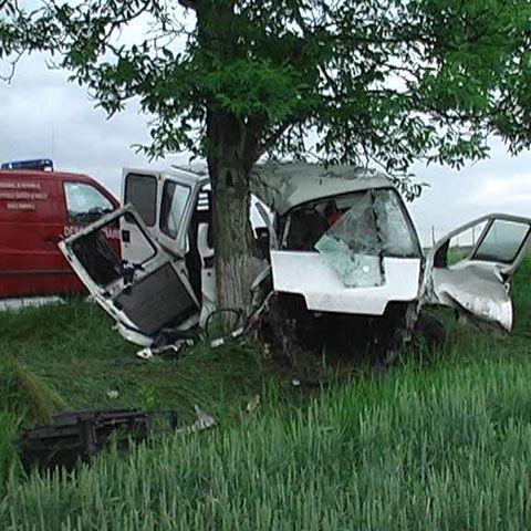 Un om a murit şi alţi şapte au fost răniţi într-un accident pe DN 1B 