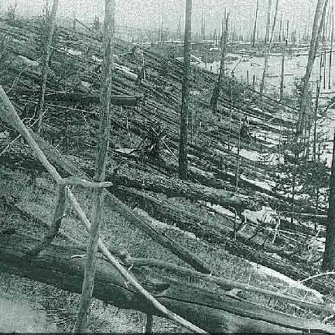 Un OZN s-a ciocnit intenţionat cu un meteorit pentru a salva Pământul, potrivit Tunguska Spatial Phenomenon Foundation