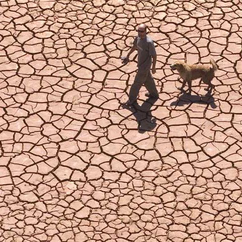 Schimbarea climatică provoacă anual moartea a 315.000 de oameni