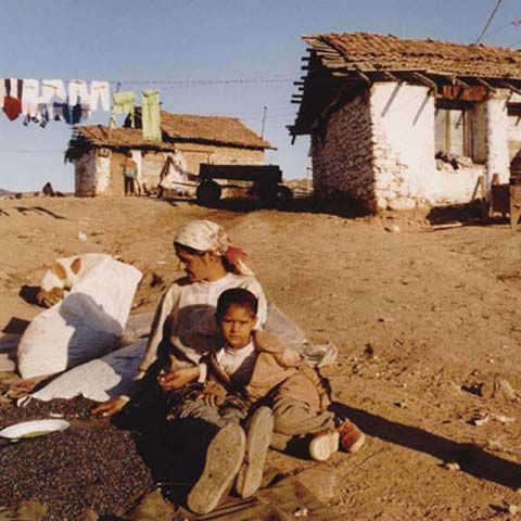 50 de romi au ocupat abuziv o biserică din Berlin