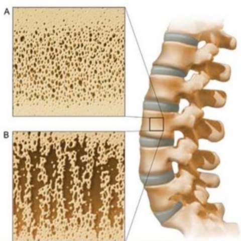 Ministerul Sănătăţii va implementa ghiduri terapeutice pentru mai multe patologii