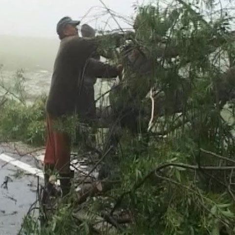 Ploile şi vijeliile au făcut ravagii în mai multe zone din ţară