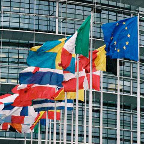 AFP: Stânga românească vrea să-şi confirme revenirea în prim-plan prin alegerile europene