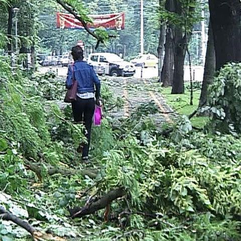 Vijeliile din 9 iunie au făcut ravagii în 14 judeţe ale ţării, potrivit bilanţului MAI