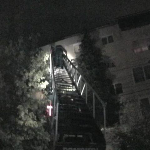 O vijelie a doborât un brad peste un imobil în Baia Mare 