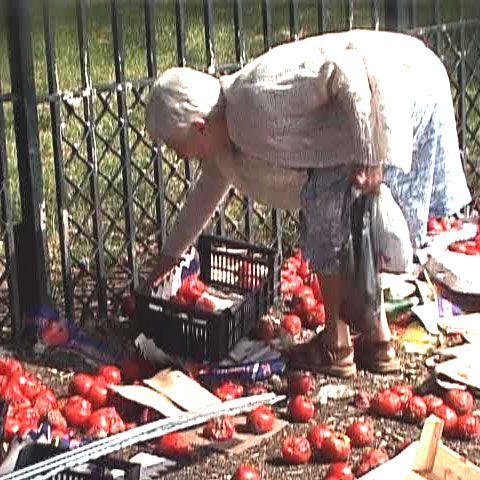 Unii bătrâni ajung să caute mâncare prin gunoi pentru a supravieţui