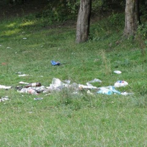 Copiii de la şcolile din Piteşti au strâns gunoaiele din cartierele oraşului de Ziua Mediului