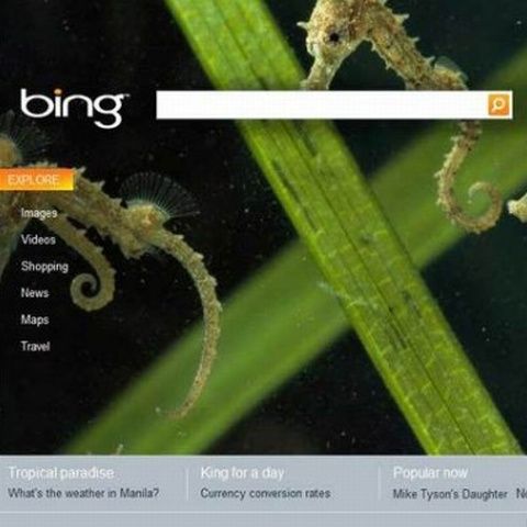 Microsoft investeşte în promovarea Bing 100 de milioane de dolari