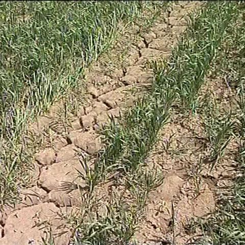 Ungaria se pregăteşte să ajute agricultorii în perioada de secetă