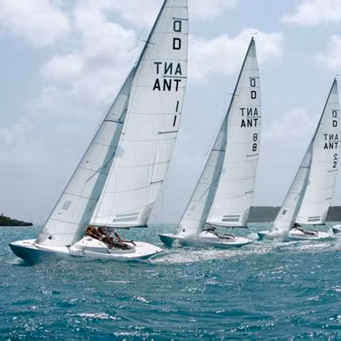 Regatta Mediului, o competiţie de veliere pentru protejarea biodiversităţii marine