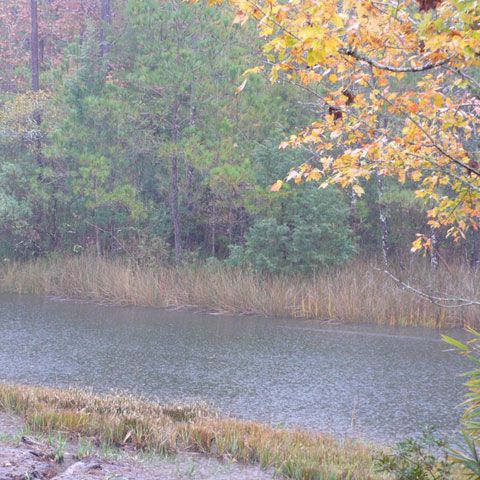 Meteorologii au anunţat averse şi grindină în Transilvania, Muntenia şi Moldova