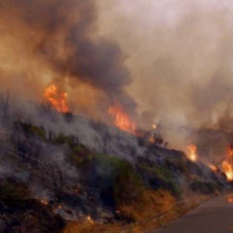 Incendiu de proporţii la o groapă de gunoi din Arad