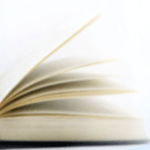 Romanul "Tipar în haosul diversităţii", scris de Cristiana Carmen Petrescu, a fost lansat miercuri