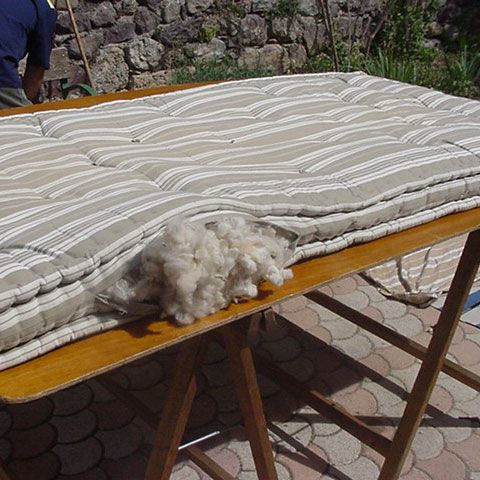 O israeliancă a aruncat o saltea în care erau un milion de dolari